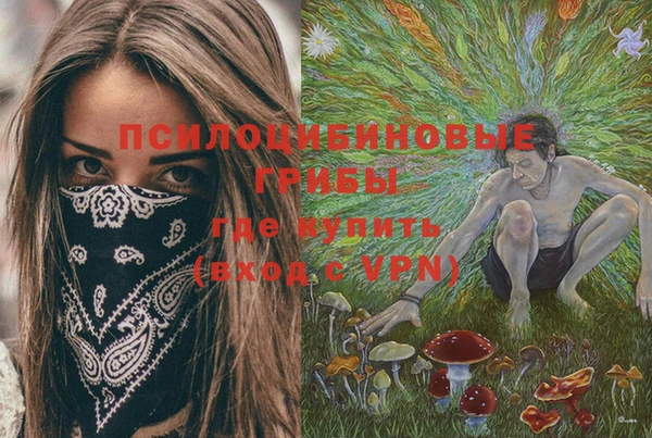 эйфоретик Верея