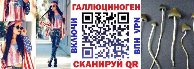 Галлюциногенные грибы мицелий  Пятигорск 